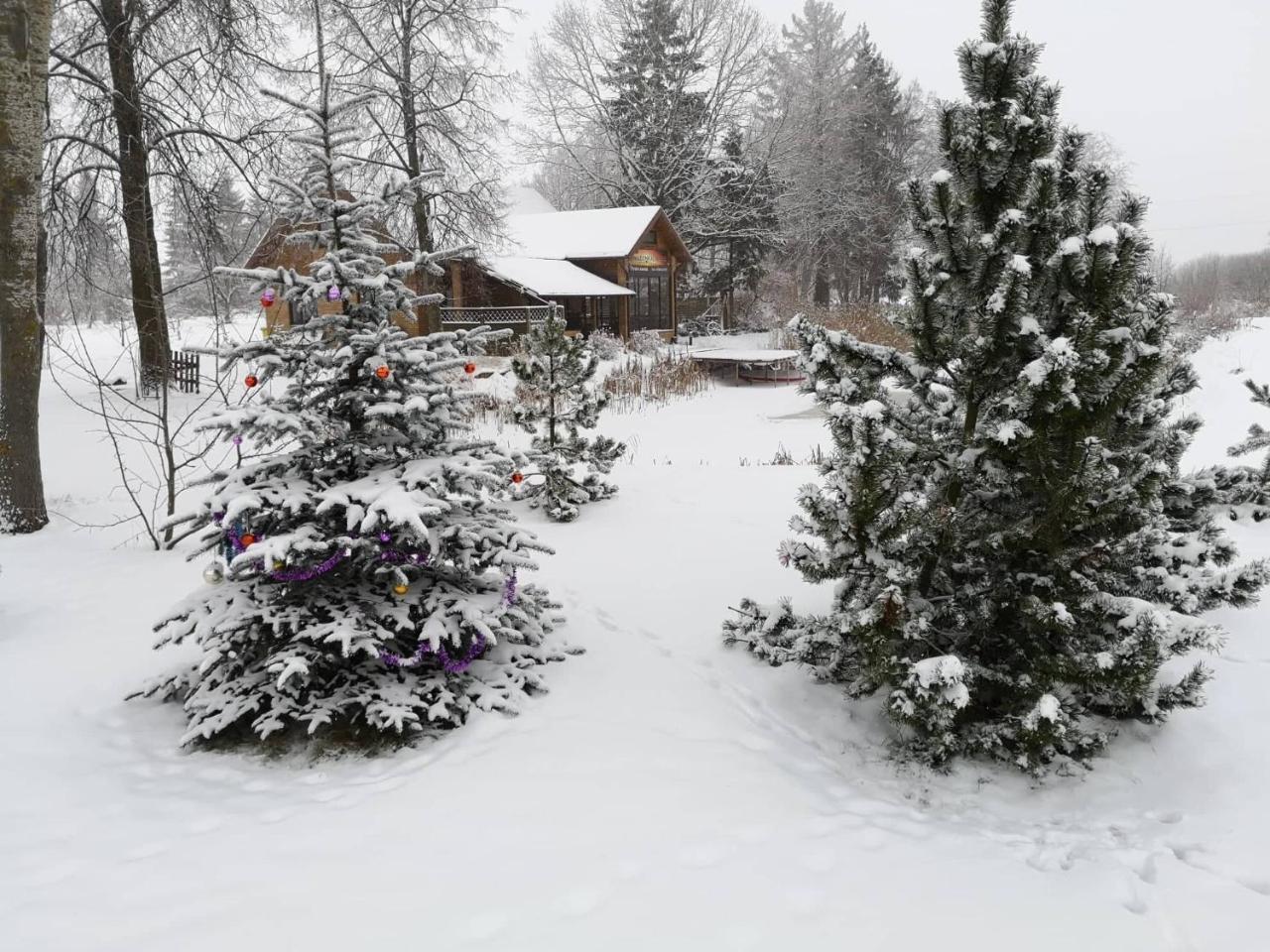 Raudonkalnis Affittacamere Mankiskiai Esterno foto